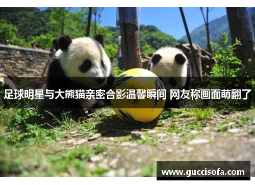 足球明星与大熊猫亲密合影温馨瞬间 网友称画面萌翻了